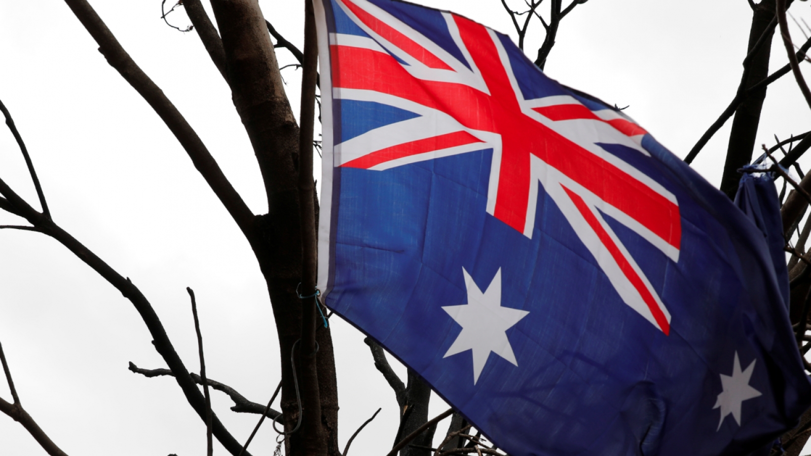Australia chi hơn 7 triệu AUD ứng phó với bệnh bạch hầu